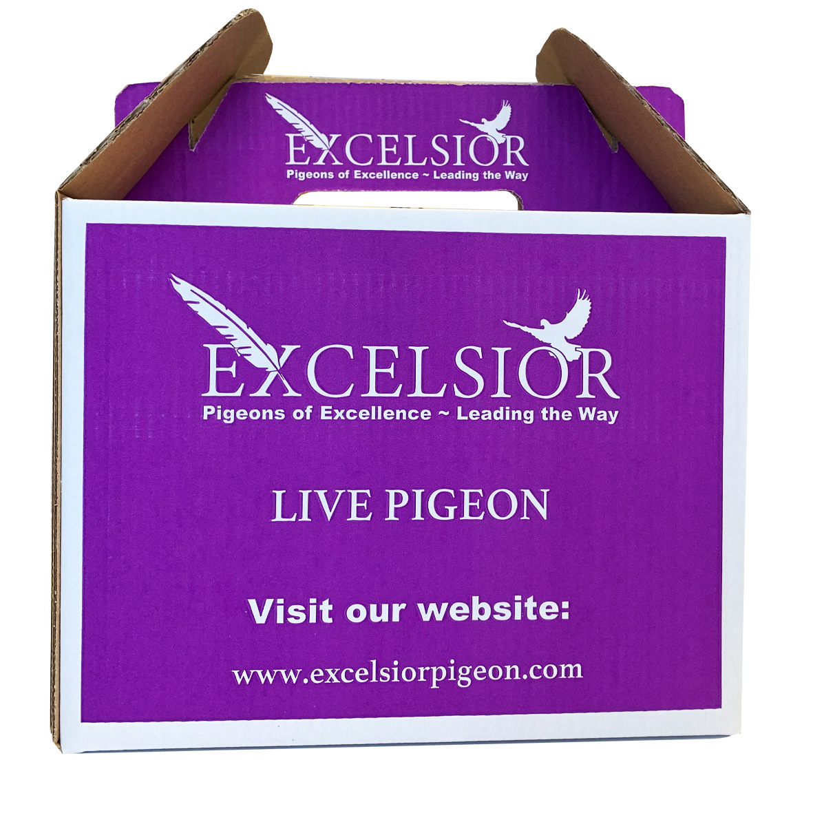 pigeon-transport-box