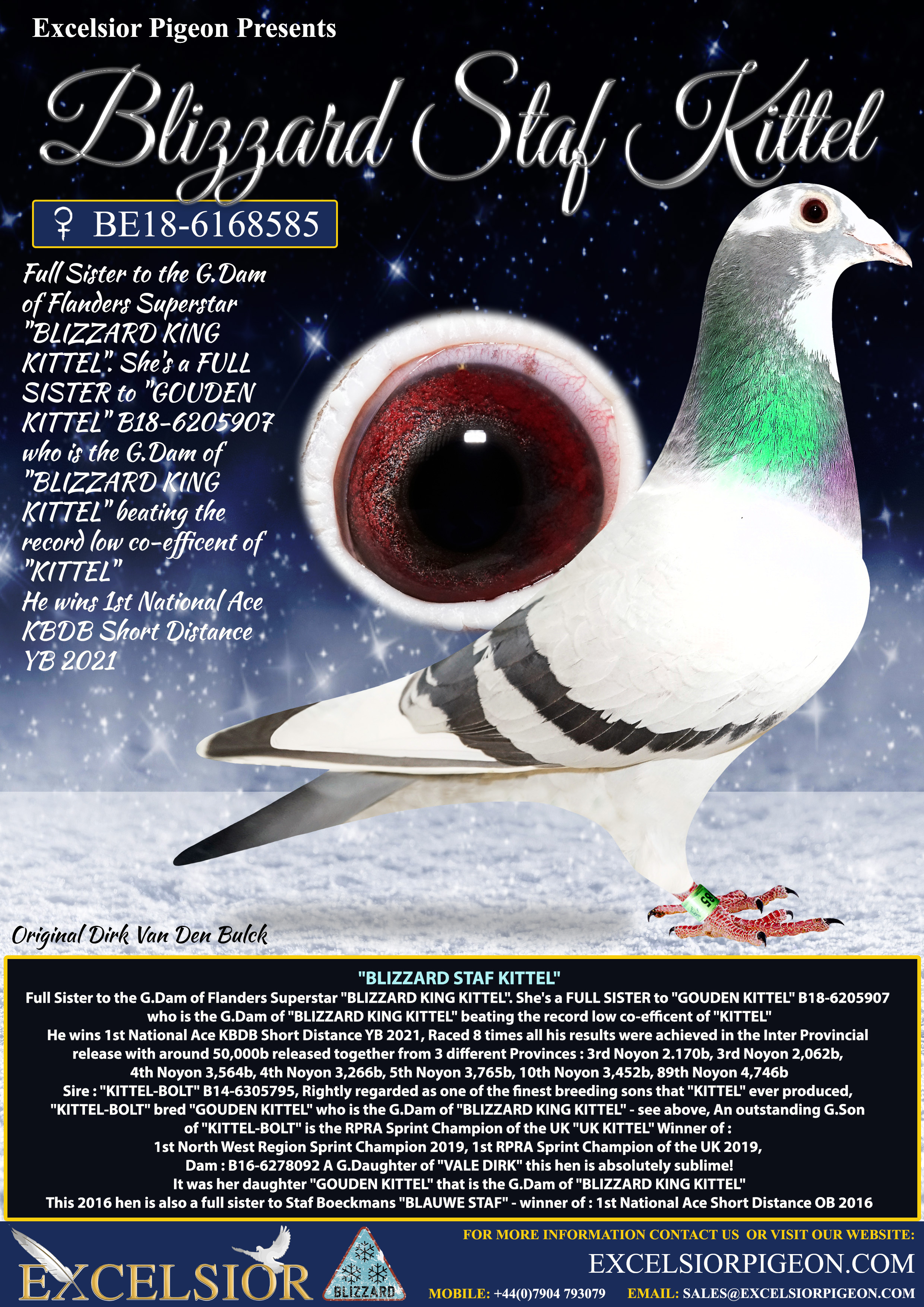 Excelsior Pigeon Breeding Stud strengthen there KBDB Nat Ace Speed bloodlines (Part iii)