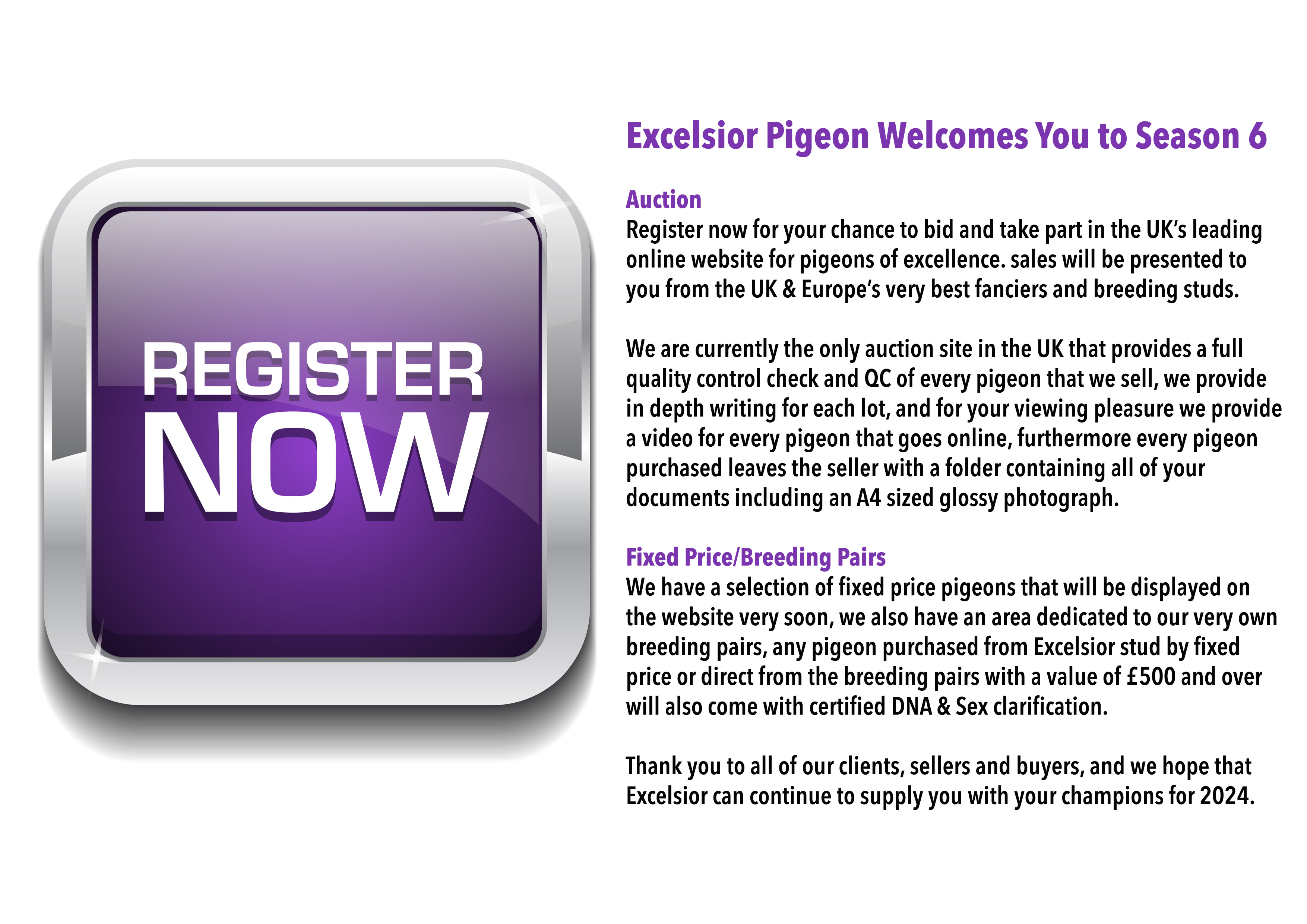 Excelsior Pigeon Welcomes You to Season 6 - Registering to bid