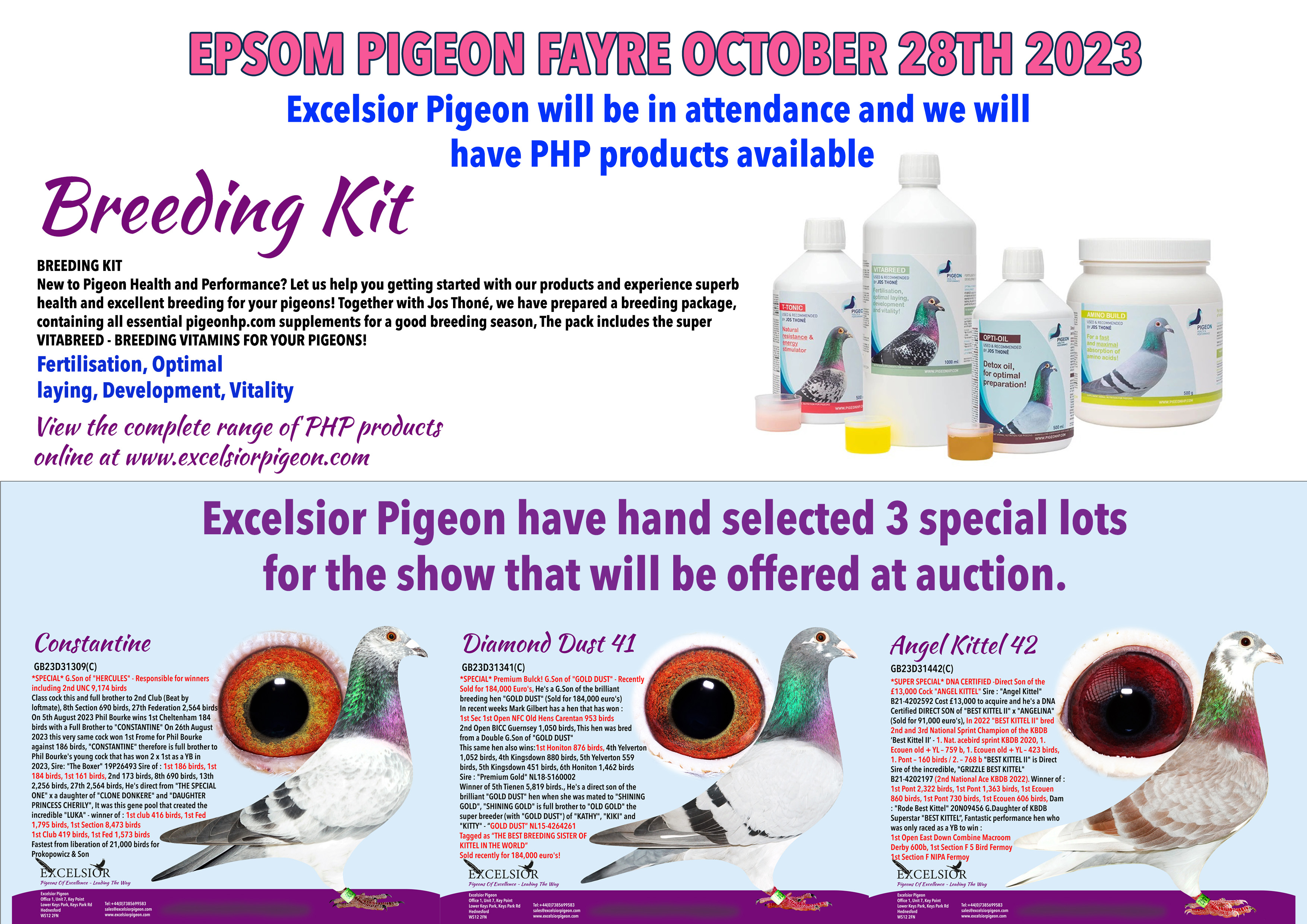 EPSOM PIGEON FAYRE OCTOBER 28TH 2023