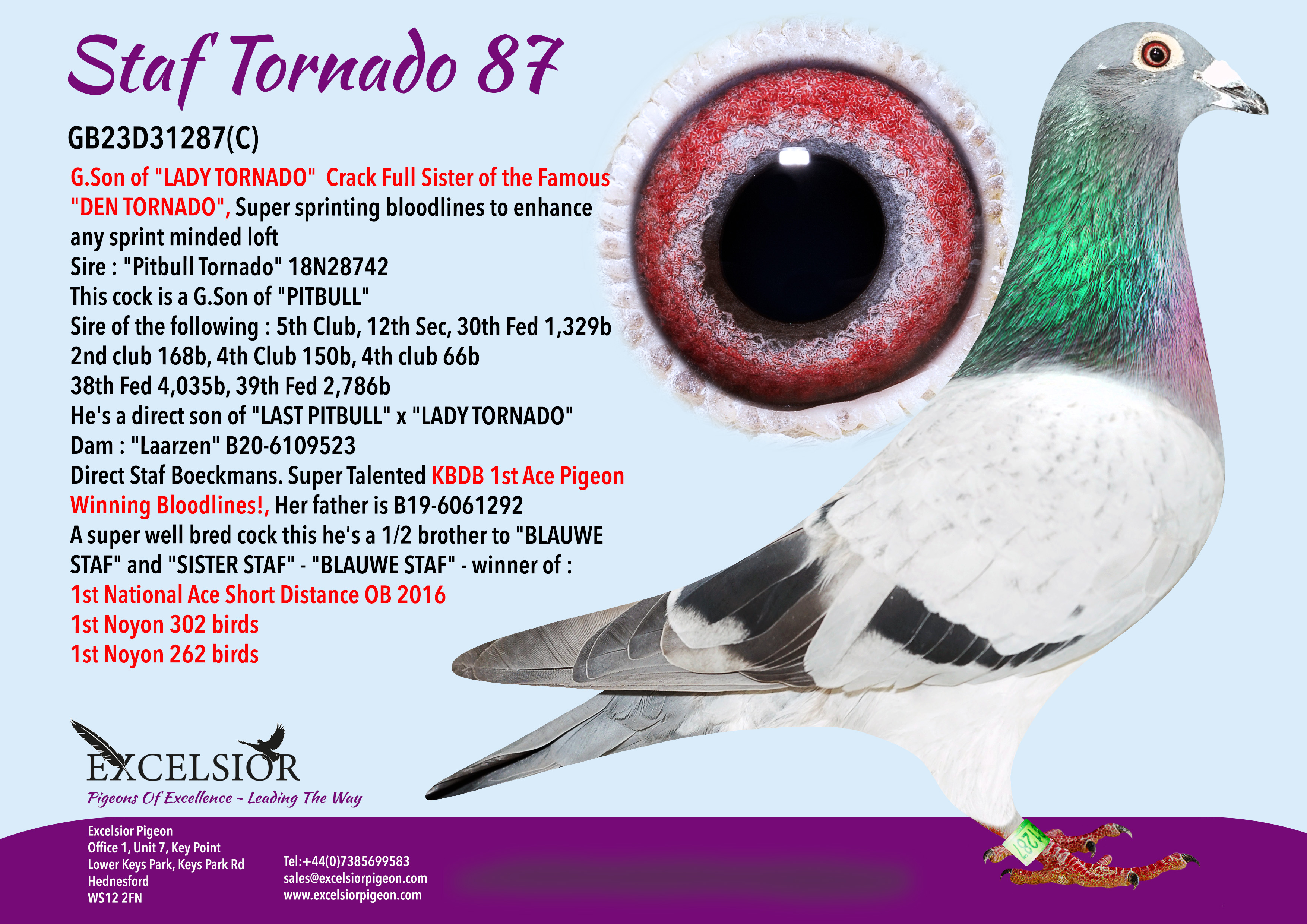staf-tornado-87