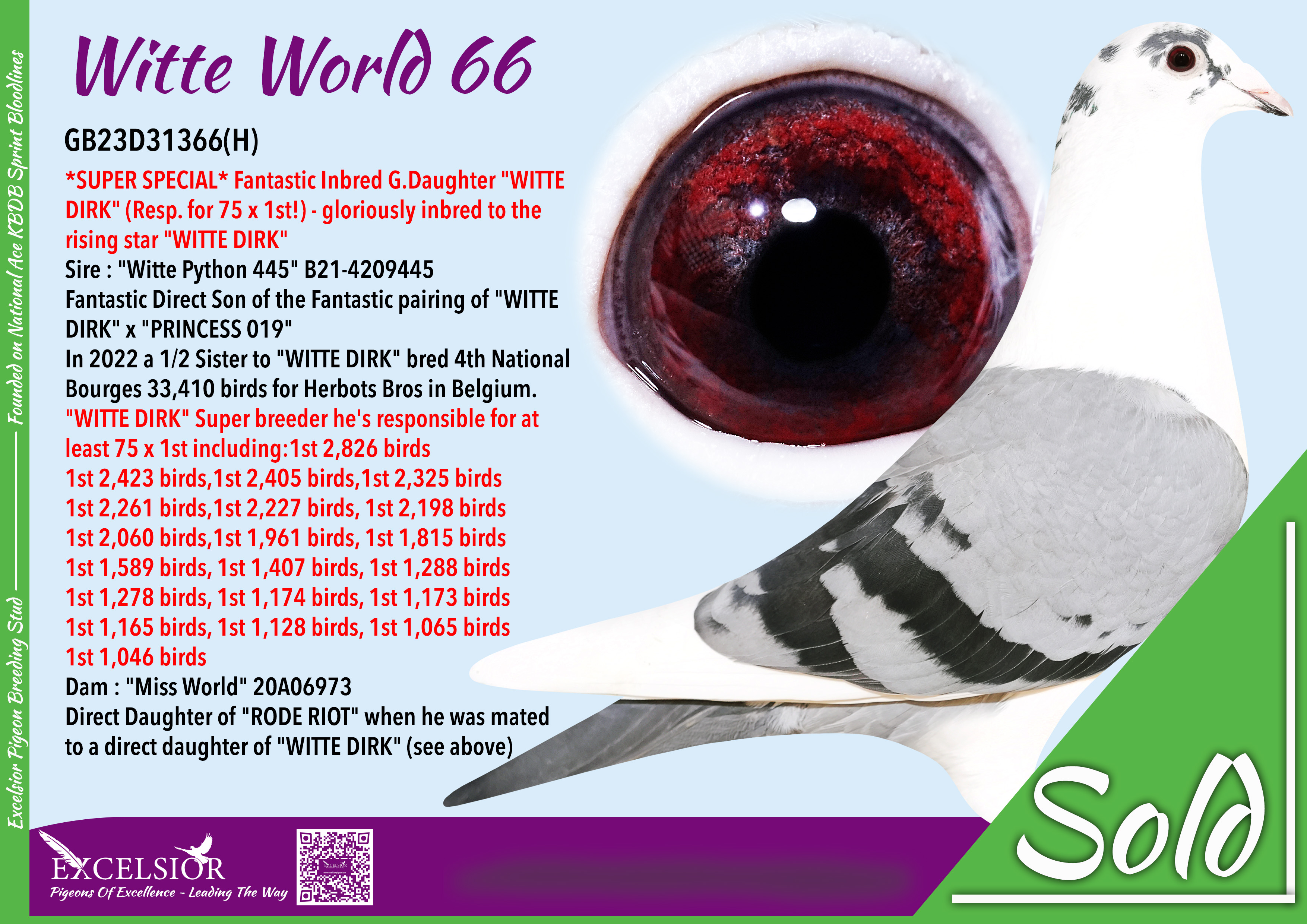 witte-world-66