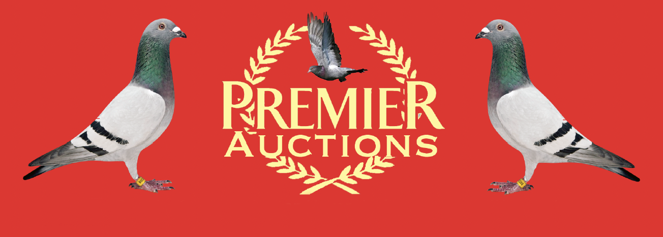 PREMIER AUCTIONS (BLACKPOOL) - FENECH BROTHERS, ESSEX