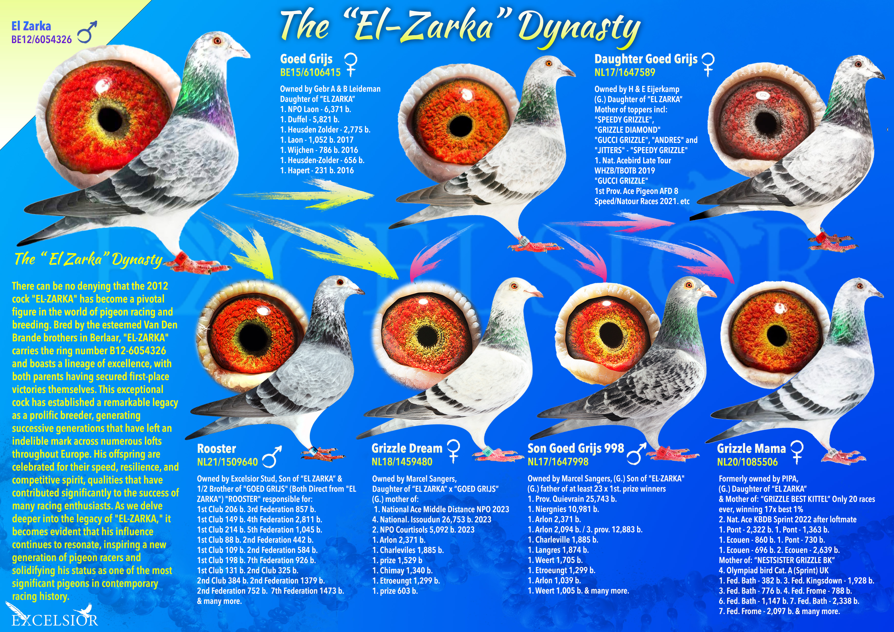THE "EL ZARKA" DYNASTY