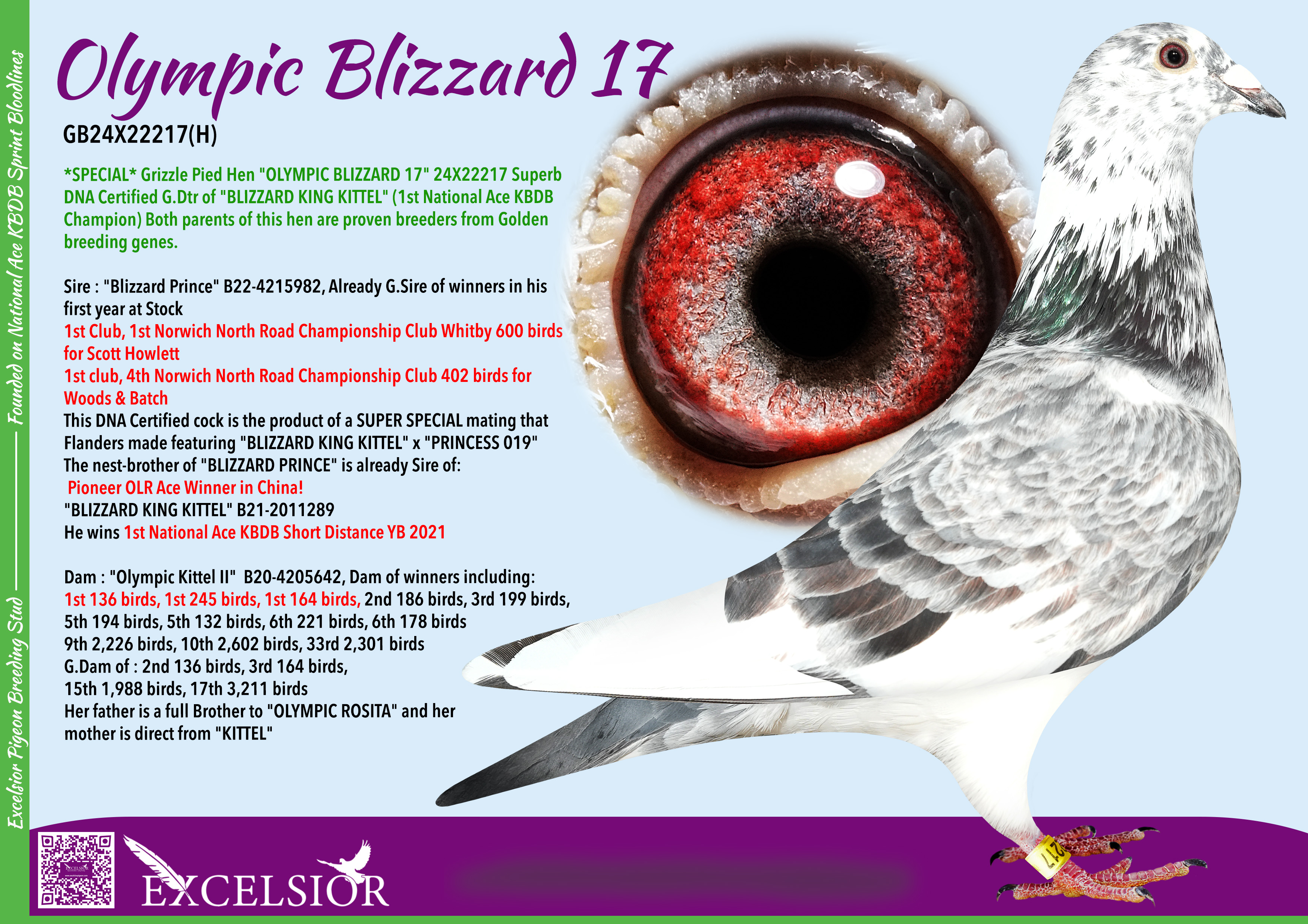 olympic-blizzard-17