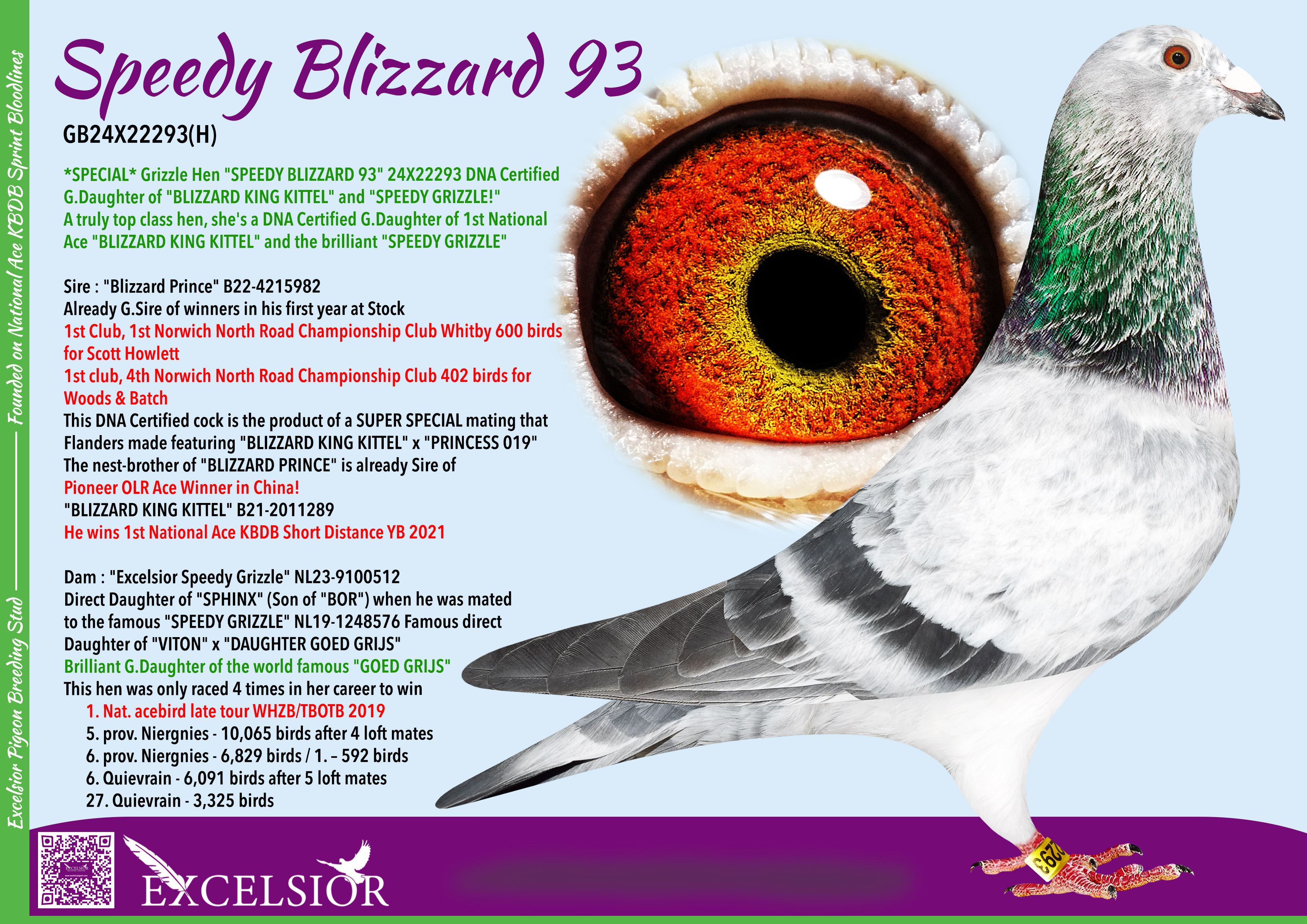speedy-blizzard-93