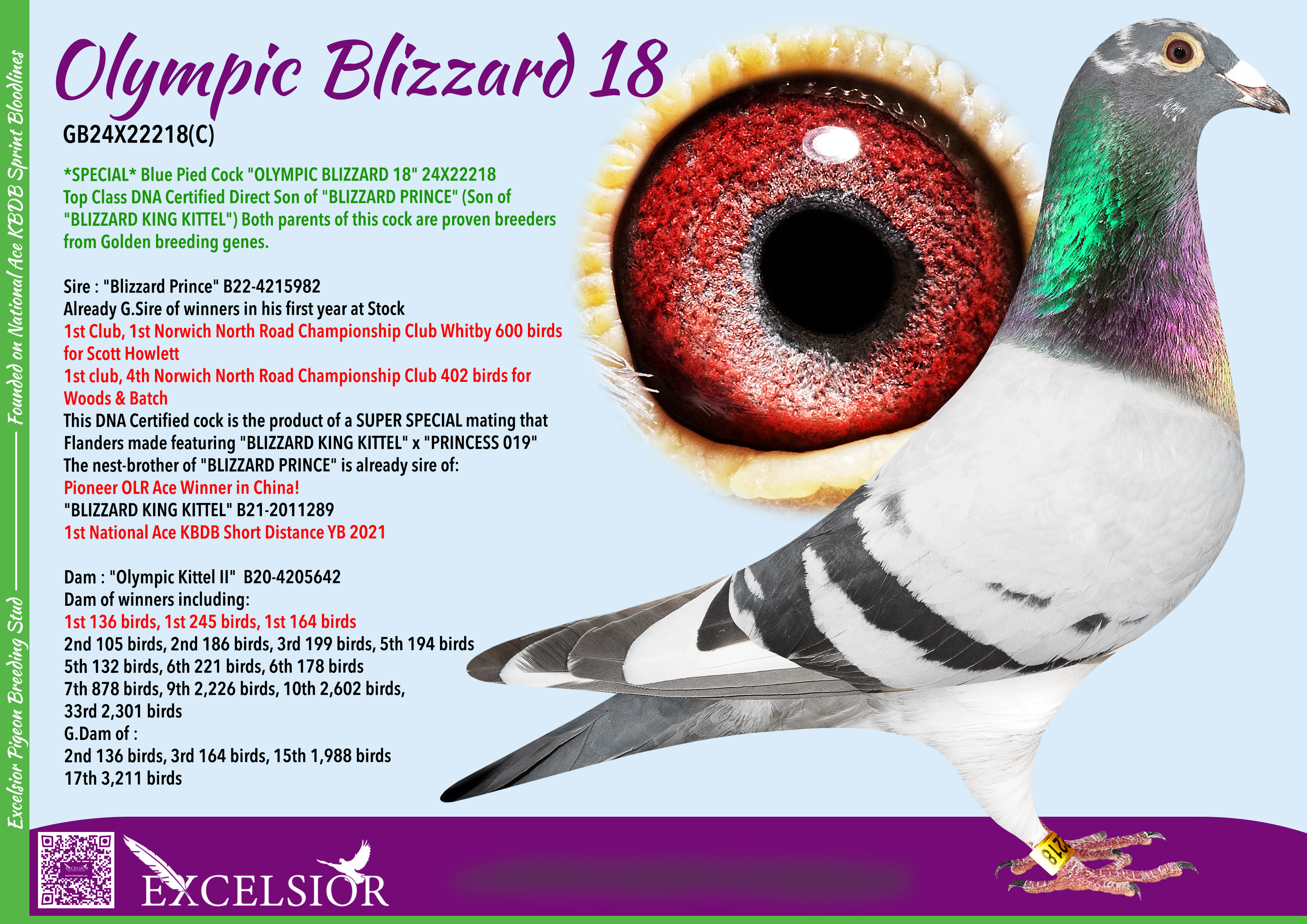 olympic-blizzard-18