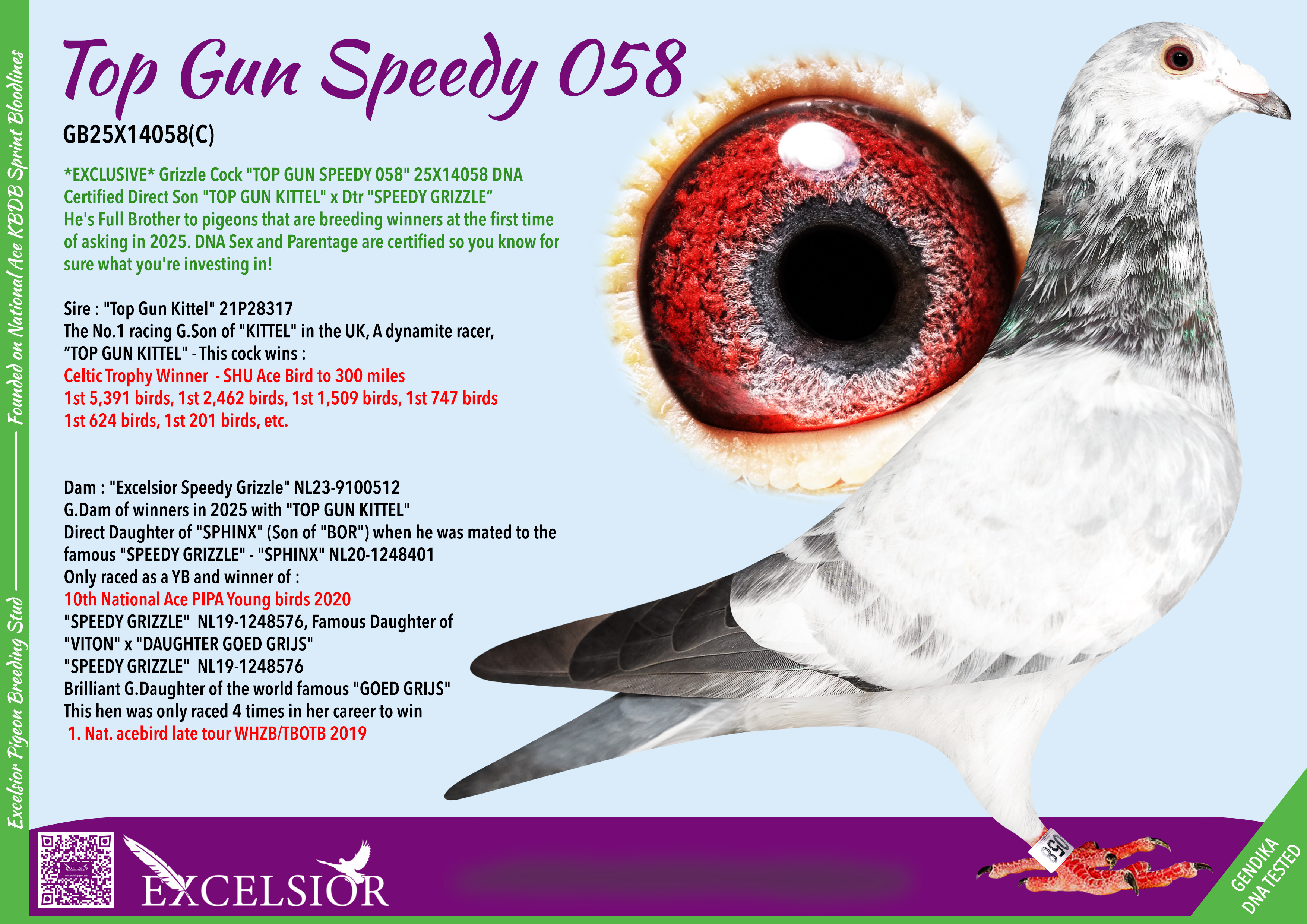 top-gun-speedy-58