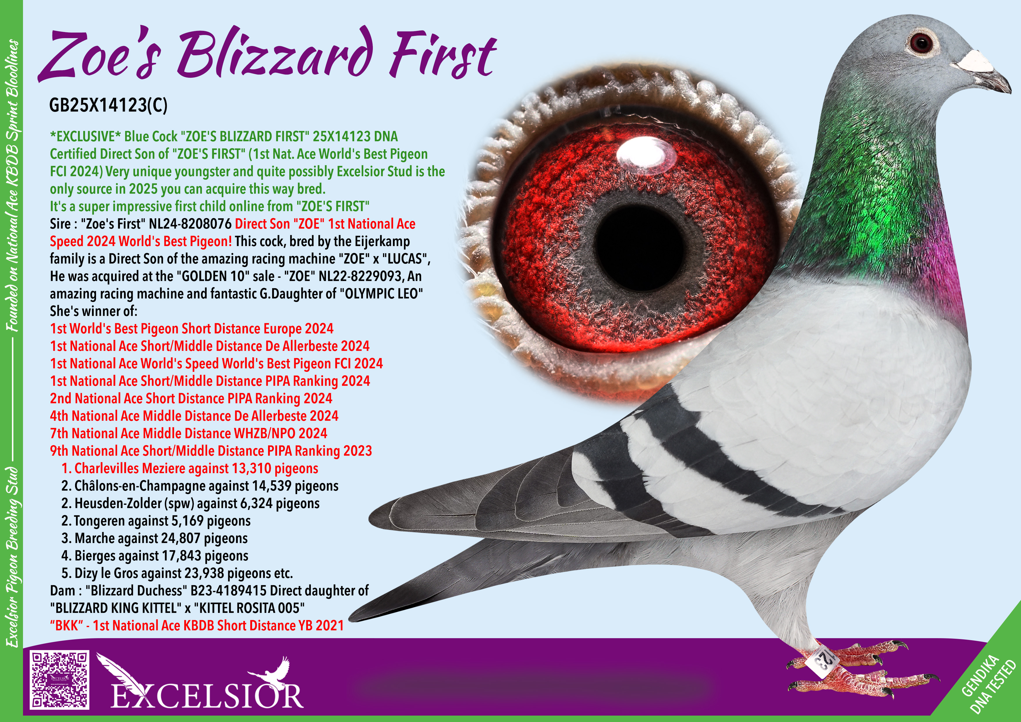 zoe-s-blizzard-first