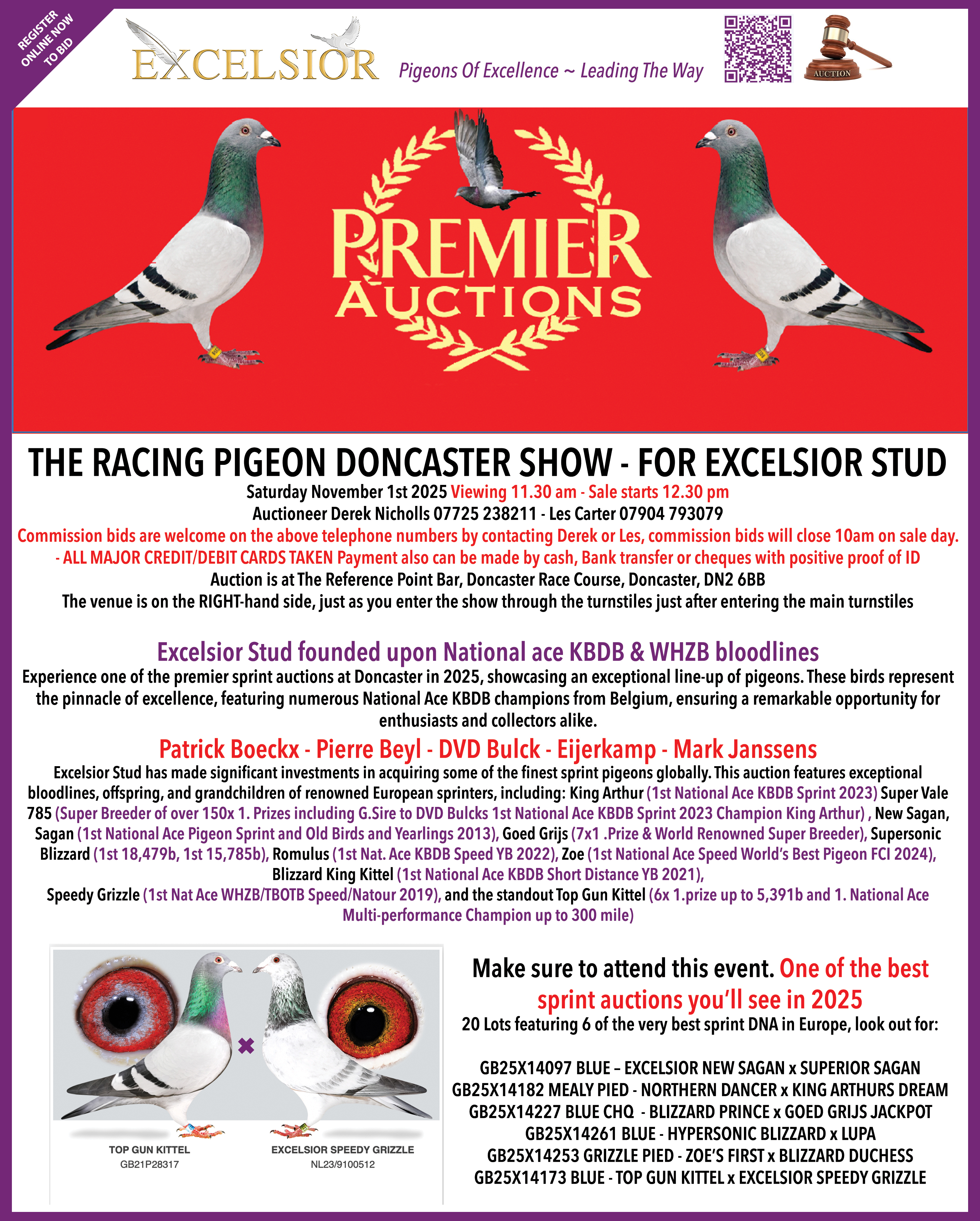 Doncaster 2025 - Excelsior Stud Auction